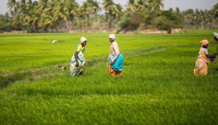 Indian Agri Market Poised for Massive Growth by FY30