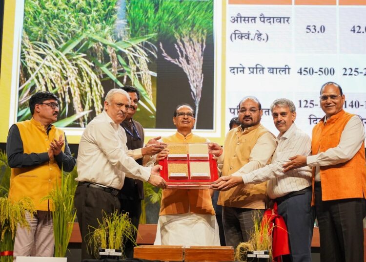 India Pioneers Agri-Biotech: Launches Genome-Edited Rice Varieties