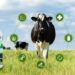 Gau Sampurna: Revolutionizing Livestock Management for India’s Farmers