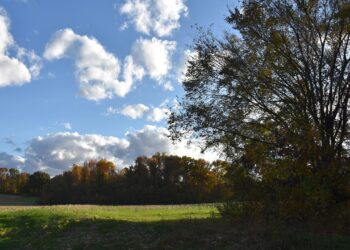 New USDA Program Funds Regenerative Conservation Practices