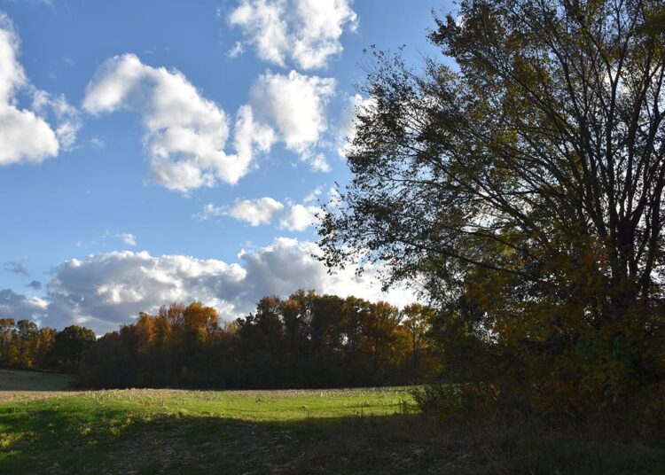 New USDA Program Funds Regenerative Conservation Practices