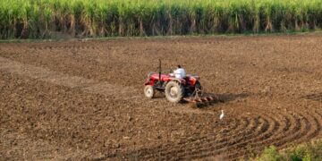 India Advances Digital Agriculture Mission With Over 84M Farmer Ids Generated