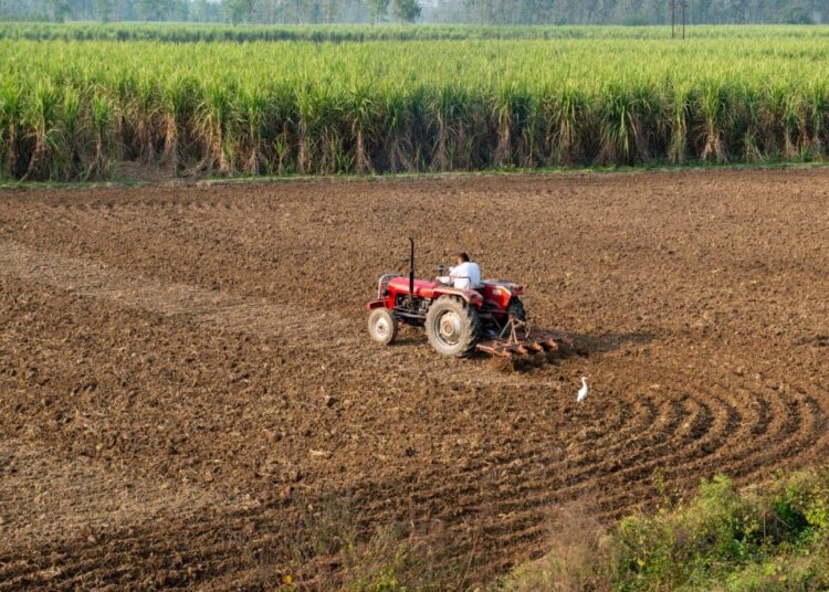 India Advances Digital Agriculture Mission With Over 84M Farmer Ids Generated