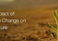 FAO Calls for Better Climate Finance to Strengthen Global Agrifood Systems
