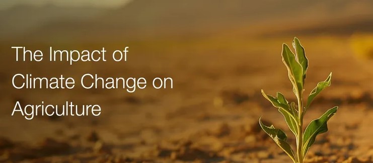 FAO Calls for Better Climate Finance to Strengthen Global Agrifood Systems